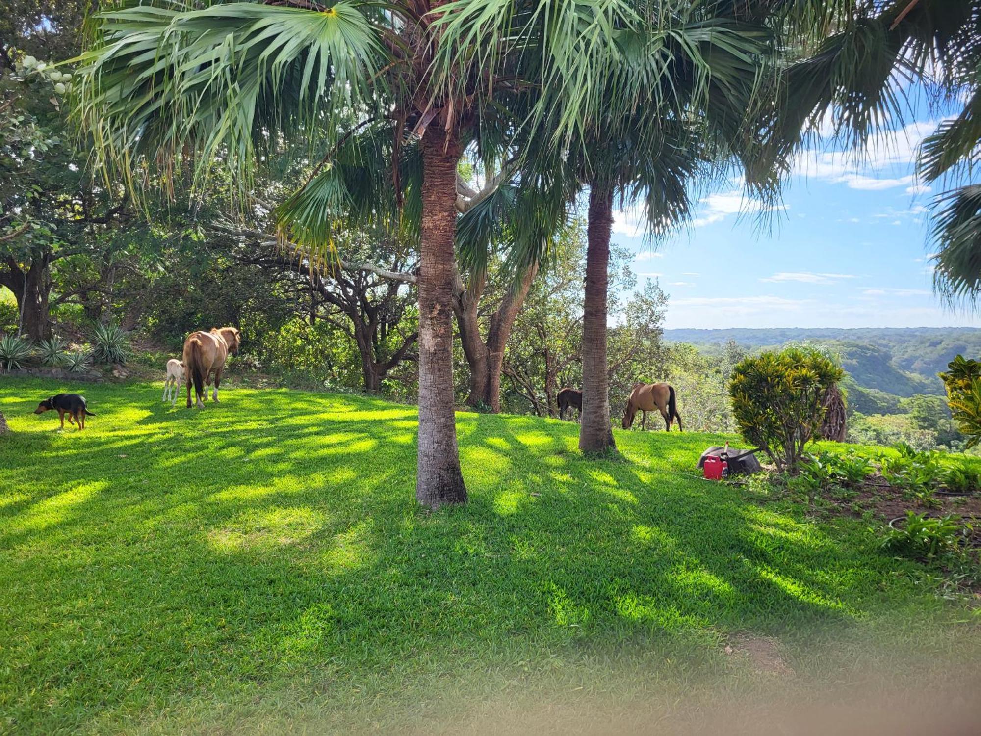 Hacienda En Los Volcanes Guayabo  Exterior photo